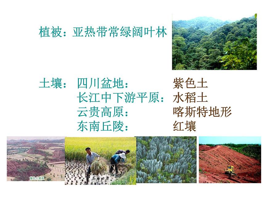 中考地理復(fù)習(xí) 考點(diǎn)課件:第三部分 第五章 第3講 南方地區(qū) (共52張PPT)第5頁(yè)