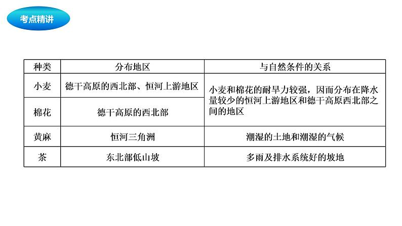中考地理复习中考地理一轮复习:印度与俄罗斯课件第7页