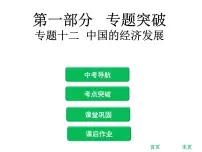中考地理复习 专题突破课件：专题十二 中国的经济发展