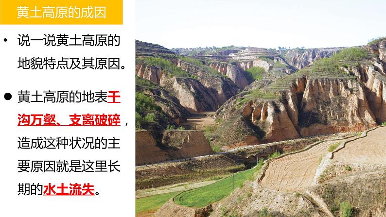 6.3黄土高原(备课件)-八年级地理下册同步备课系列(商务星球版)08