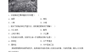 初中地理第一节 区域特征精品一课一练