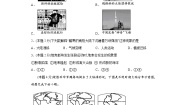 晋教版七年级上册3.2海陆变迁课时作业