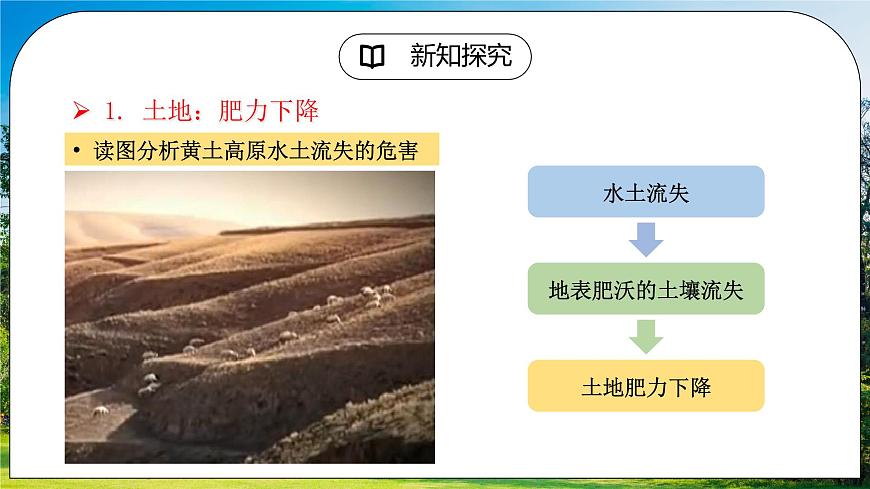 6.3《世界最大的黃土堆積區(qū)——黃土高原》（第二課時）課件第5頁