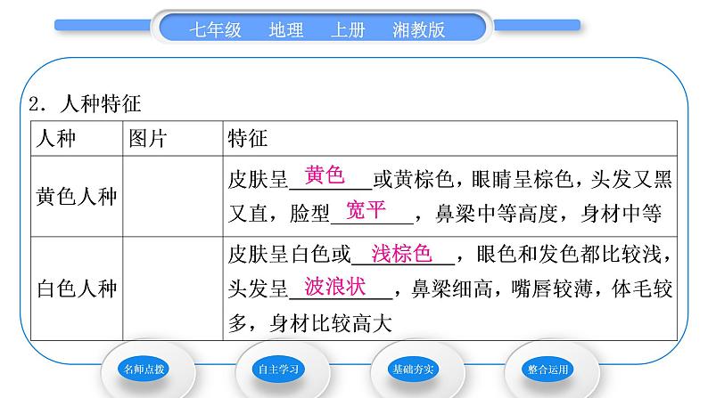 湘教版七年级地理上第三章世界的居民第二节世界的人种习题课件07
