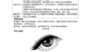 地理八年级下册第三节 西北地区教案