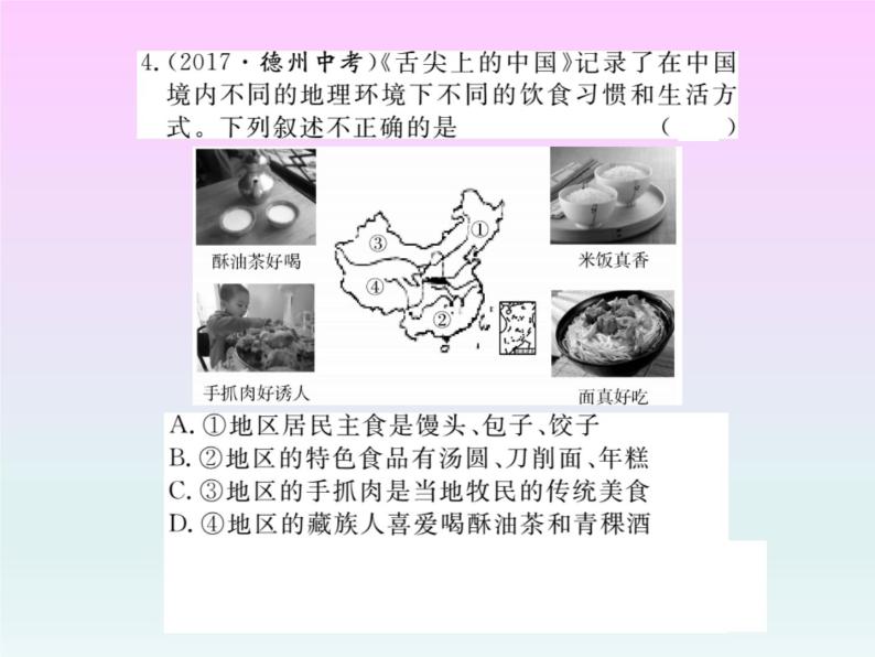 初中地理8下专题九 中国的地理差异习题课件05