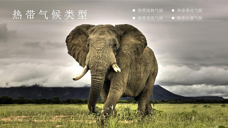【期末考点串讲】2022-2023学年 湘教版地理 七年级上学期-知识串讲课件8-《世界主要气候类型》第5页