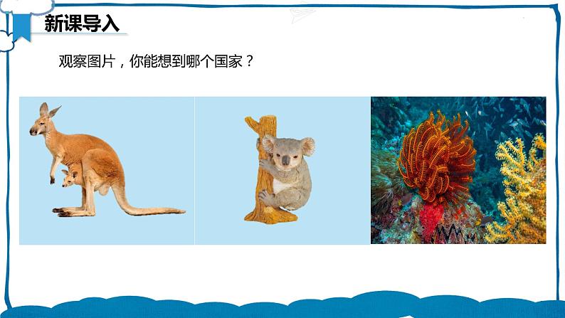 湘教版地理七年级下册 8.7 澳大利亚 课件+教案05