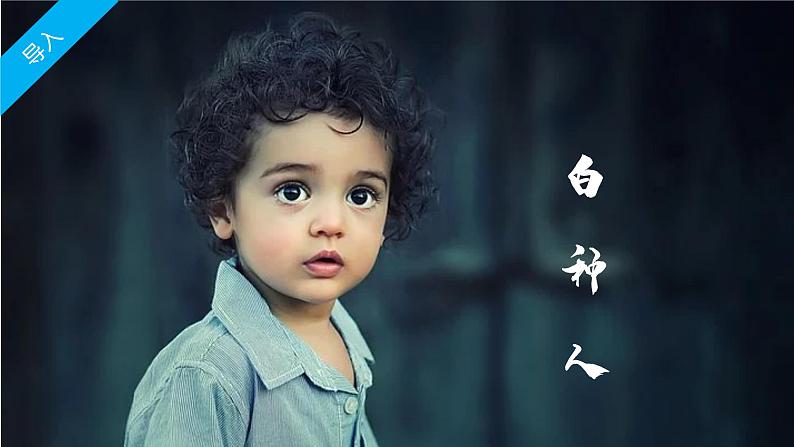3.2世界的人种-七年级地理上册同步优质课件(湘教版)第2页