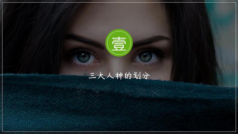 3.2世界的人种-七年级地理上册同步优质课件(湘教版)第6页