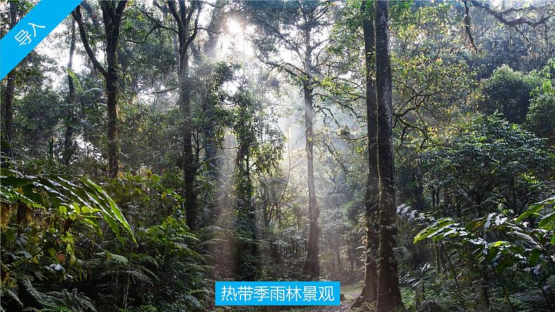 4.4世界主要气候类型-七年级地理上册同步优质课件(湘教版)05