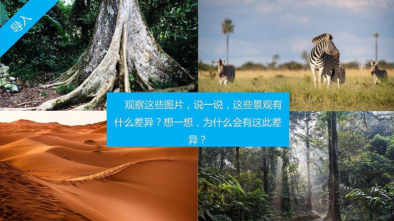 4.4世界主要气候类型-七年级地理上册同步优质课件(湘教版)06