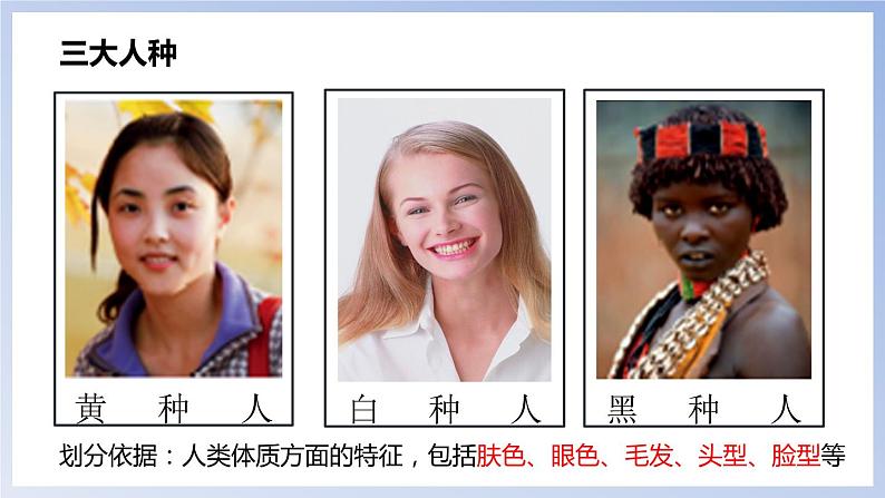 3.2 世界的人种-七年级地理上册同步备课优质课件(湘教版)04