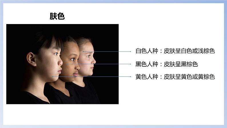 3.2 世界的人种-七年级地理上册同步备课优质课件(湘教版)05