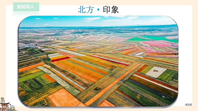 【粤教版】八下地理 6.1北方地区(课件+教案+导学案)03
