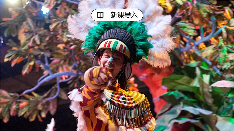 湘教版地理七下:8.6《巴西》(课件+教案+复习提纲+同步练习)08