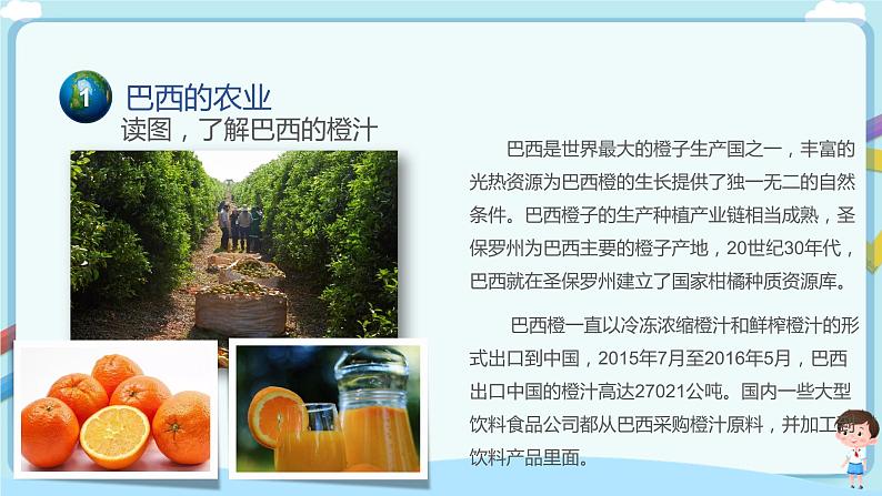 巴西(第2课时) 课件第8页