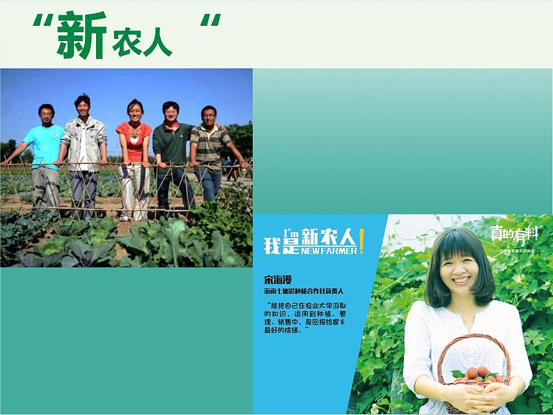 沪教版地理七年级下册 祖国篇(下)1.3因地制宜发展农业 课件05