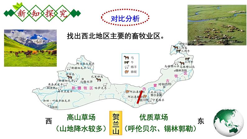 人教版地理八年级下册 8.1.2《自然特征与农业》 课件第6页