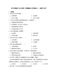 【中考地理】2023届第一轮基础复习专项练习——发展与合作（含解析）