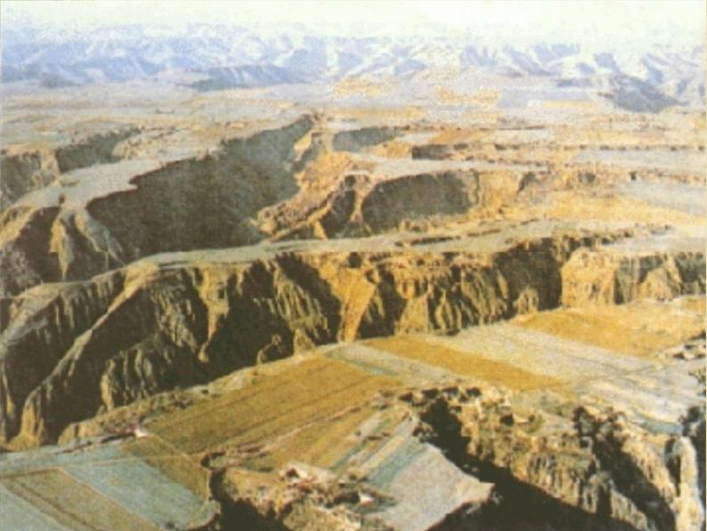 人教版八年级下册地理课件 6.3世界最大的黄土堆积区 黄土高原03