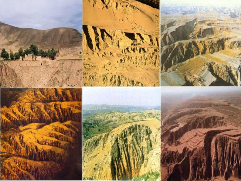 人教版八年级下册地理课件 6.3世界最大的黄土堆积区 黄土高原06