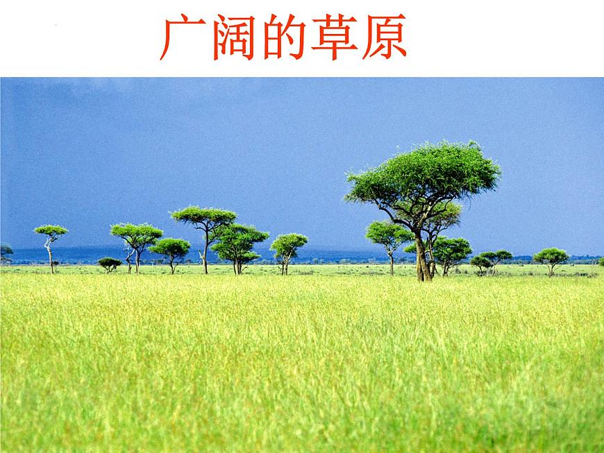 第八章第三節(jié) 撒哈拉以南非洲 課件 七年級(jí)地理下學(xué)期人教版第3頁(yè)