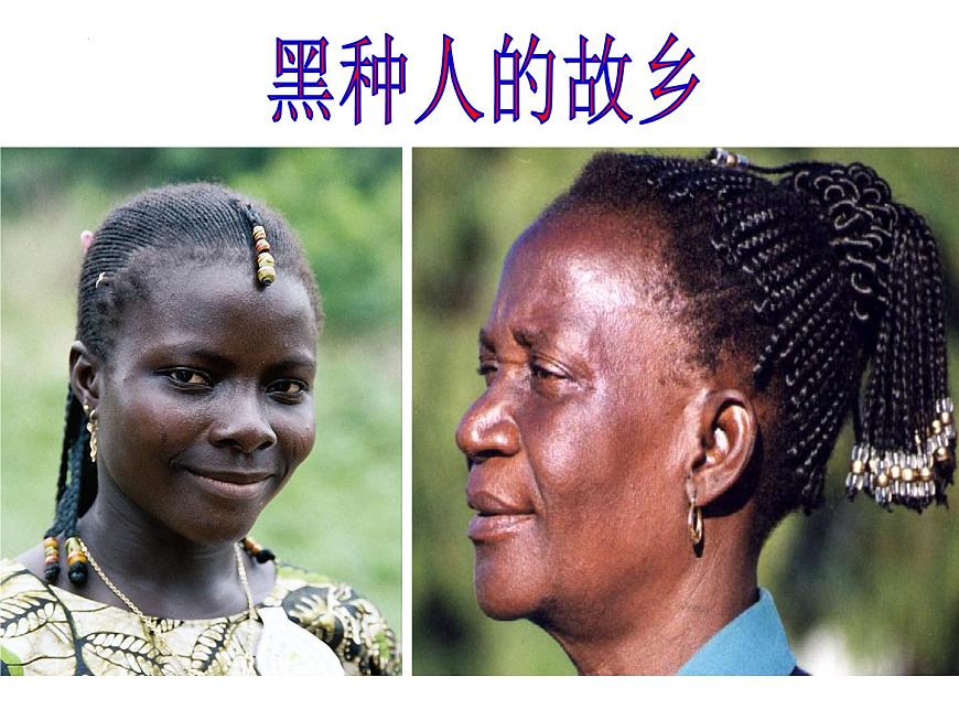 第八章第三節(jié) 撒哈拉以南非洲 課件 七年級(jí)地理下學(xué)期人教版第8頁(yè)