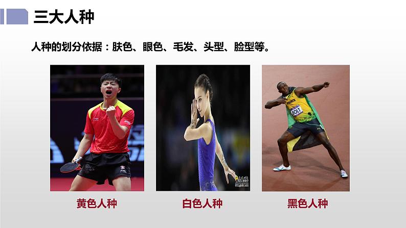 3.2 世界的人种- 七年级地理上册同步优质课件(湘教版)第5页