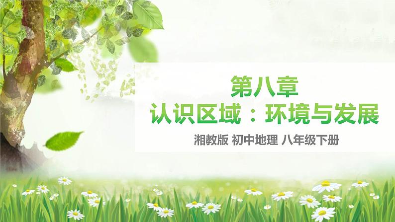2022-2023年湘教版地理八年级下册单元复习精讲精练:第八章 认识区域:环境与发展(复习课件)第1页