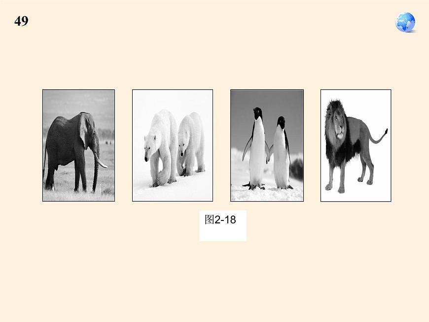 人教版初中地理七年級下冊 第二節(jié) 自然環(huán)境 課件第6頁