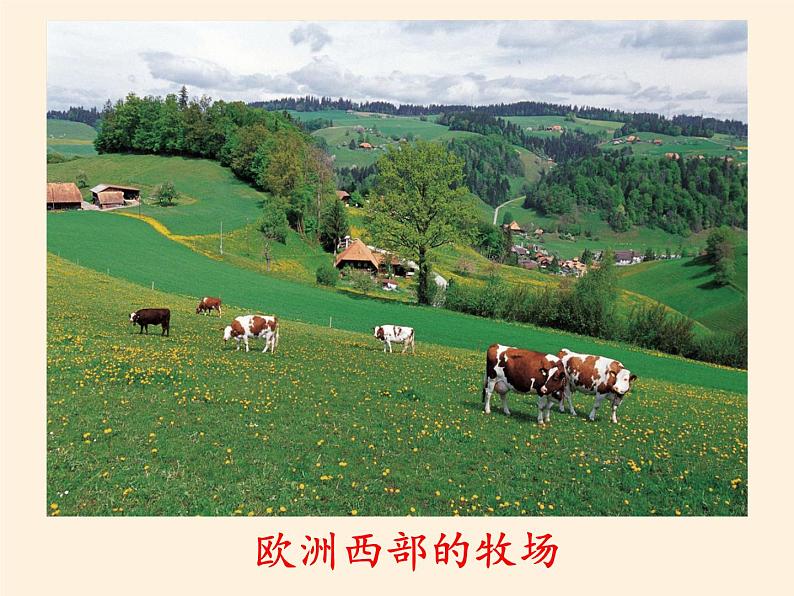 人教版初中地理七年级下册 第二节 欧洲西部 课件06