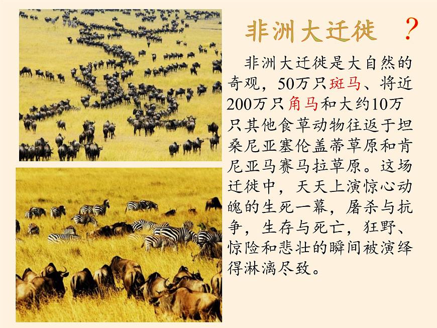 人教版初中地理七年級下冊 第三節(jié) 撒哈拉以南非洲 課件第7頁
