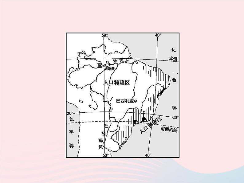 2023七年级地理下册 第九章 西半球的国家 第2节 巴西第1课时大量混血种人的社会发展中的工农业 新人教版课件PPT第8页