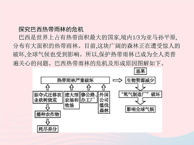 2023七年级地理下册 第九章 西半球的国家 第2节 巴西第2课时 热带雨林的开发与保护课件 新人教版04
