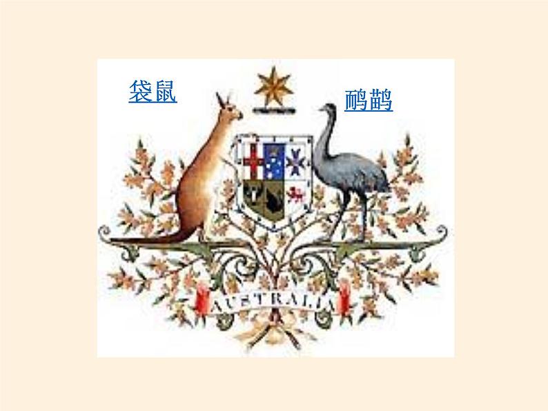人教版初中地理七年级下册 第四节 澳大利亚 课件03