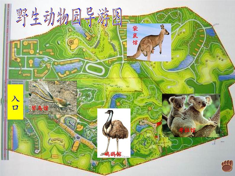 人教版初中地理七年级下册 第四节 澳大利亚 课件04