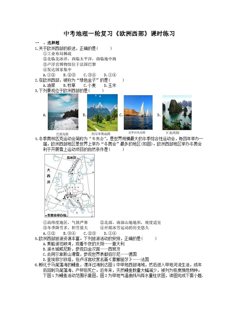 中考地理一轮复习《欧洲西部》课时练习(含答案)第1页