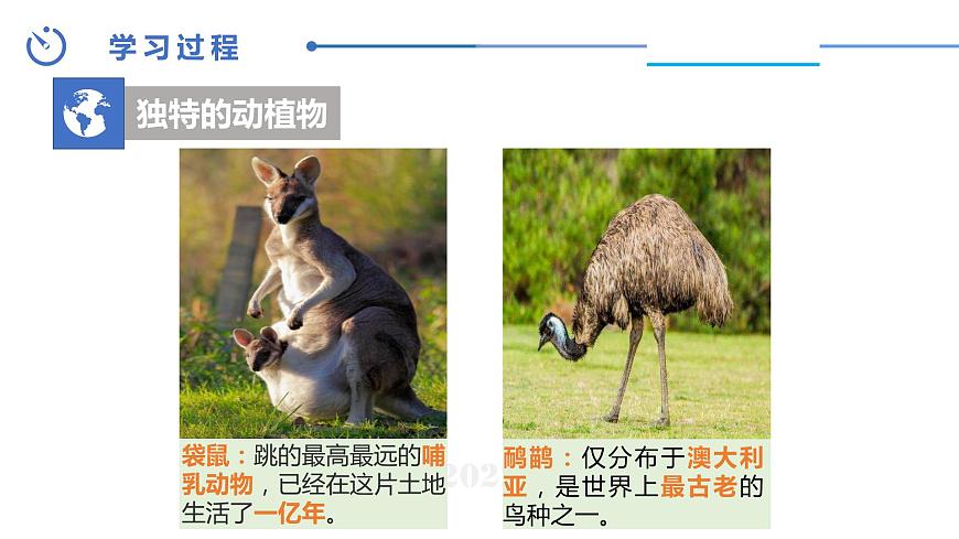 中圖版地理八下第7章第三節(jié)澳大利亞第2課時課件第5頁