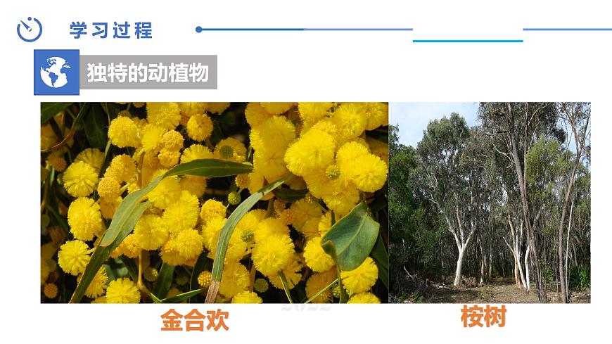 中圖版地理八下第7章第三節(jié)澳大利亞第2課時課件第8頁