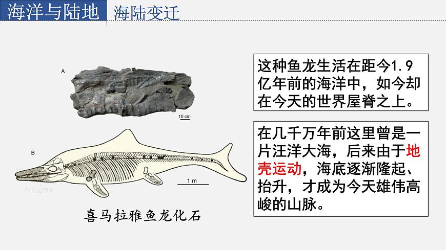 星球版七上地理3.2海陸變遷課件第5頁