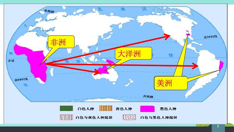 5.2 世界的人种、语言和宗教课件PPT第8页