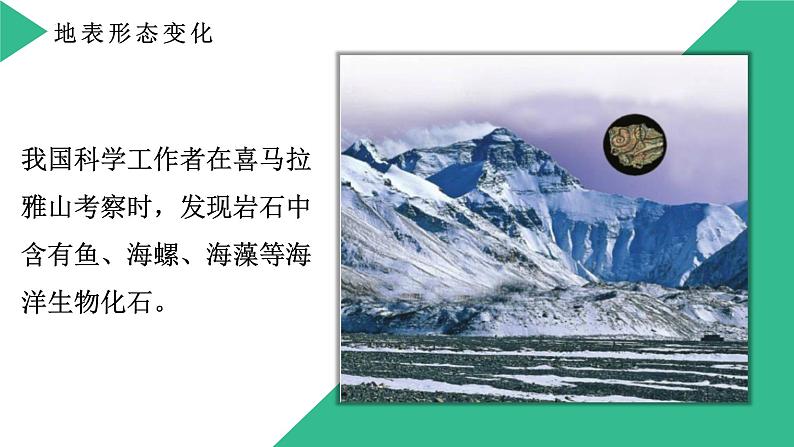 湘教版七上地理 2.4 海陆变迁 课件05