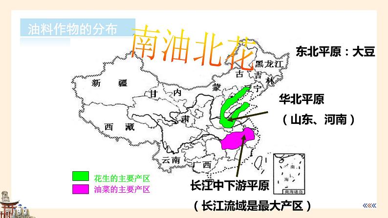 【湘教版】八上地理 4.1农业第2课时 课件第7页