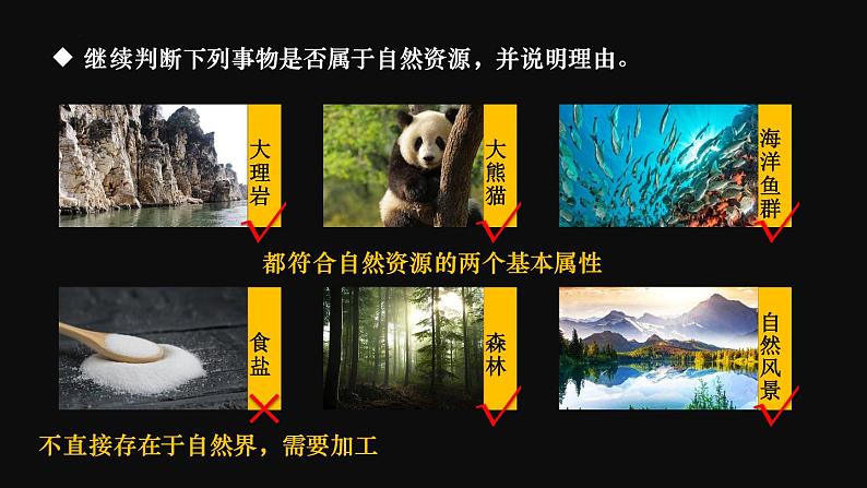 湘教版八上地理 3.1 自然资源概况 课件06