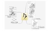 初中地理人教版 (新课标)八年级下册第二节 “白山黑水”——东北三省学案