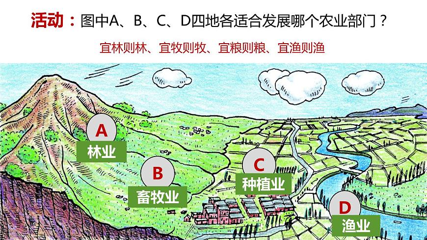 4.2 農業(yè) （第2課時）精品課件-2022-2023學年地理七年級上冊同步精品課堂 魯教版（五四學制）第8頁