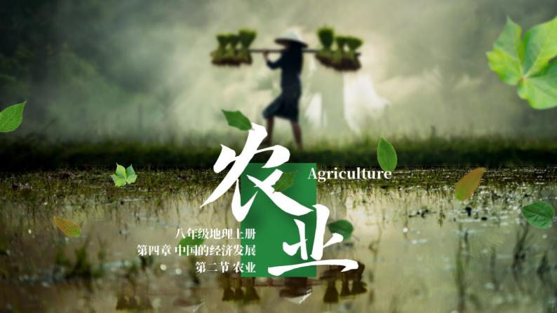 第四章  中国的经济发展 第二节 农业 课件+教案01