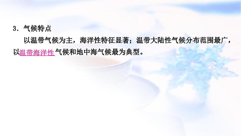 中考地理复习世界地理第六章认识大洲第2课时欧洲南、北美洲教学课件06
