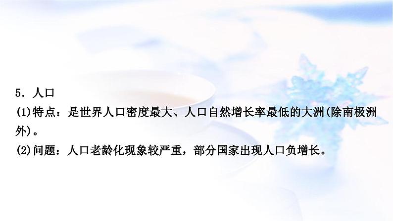 中考地理复习世界地理第六章认识大洲第2课时欧洲南、北美洲教学课件08